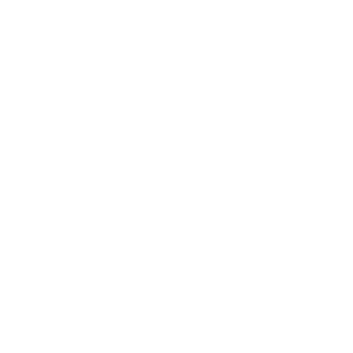 seo speed rocket